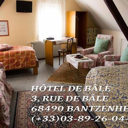 Hôtel de Bâle Bantzenheim Buitenkant foto