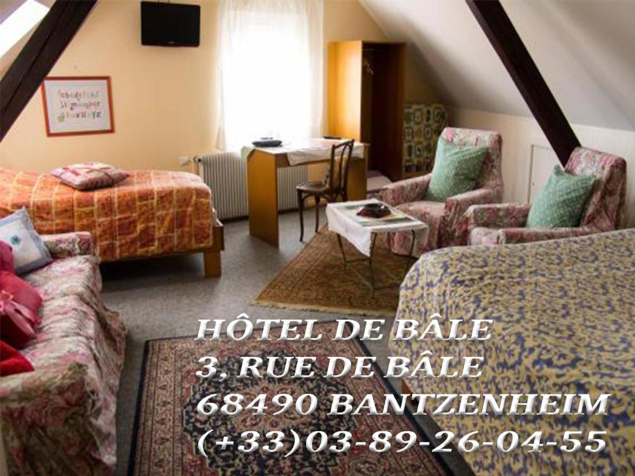 Hôtel de Bâle Bantzenheim Buitenkant foto